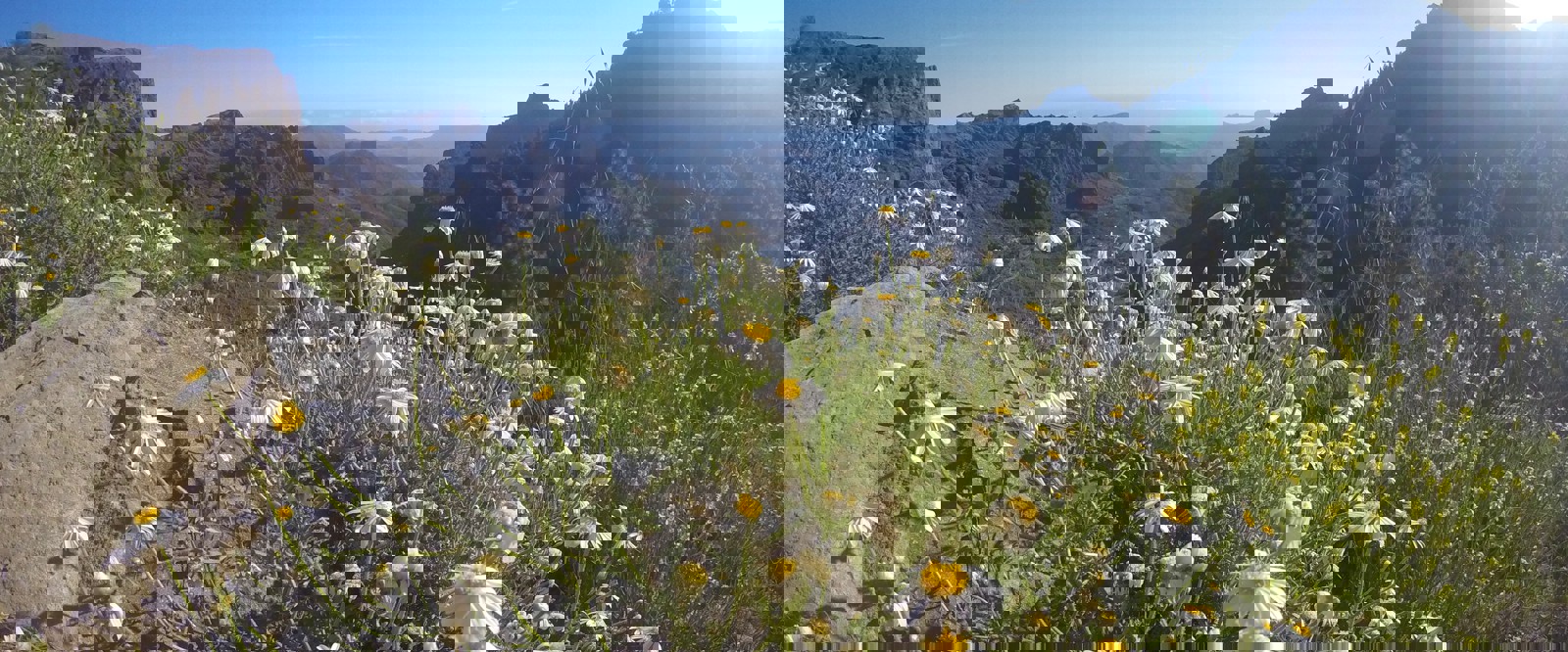 Vandringsresor Gran Canaria Wi-Resor