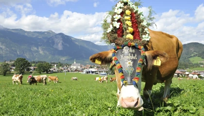 Zillertal Vandring