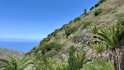 La Gomera Vandring